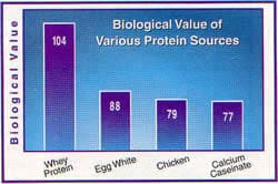 what you need to know about bovine ovary